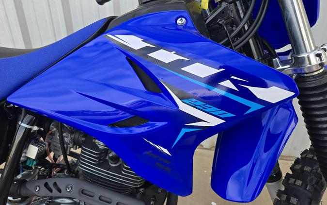 2026 YAMAHA TT-R230