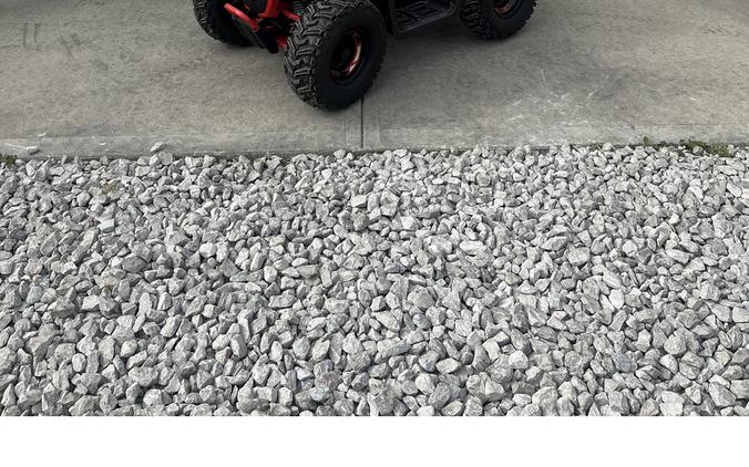 2026 E-Hawk 6 - Denago Powersports