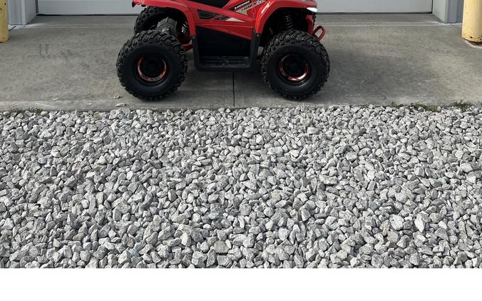 2026 E-Hawk 6 - Denago Powersports