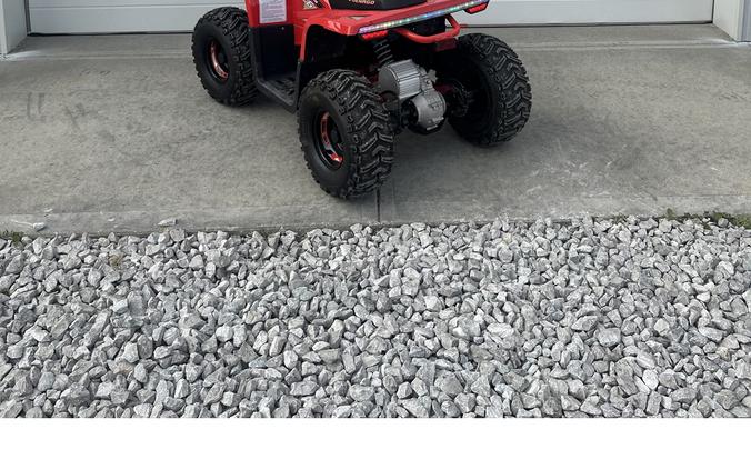 2026 E-Hawk 6 - Denago Powersports