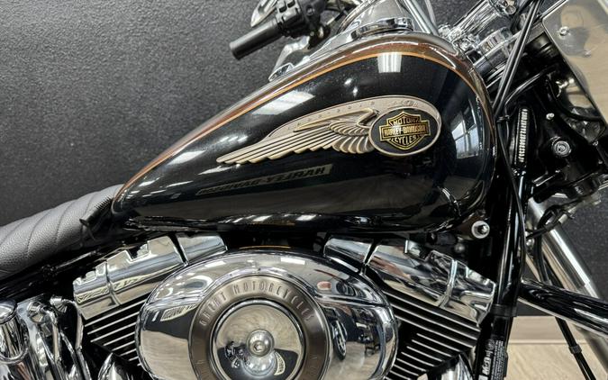 2013 Harley-Davidson® Heritage Softail® Classic 110th Anniversary