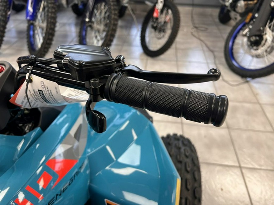 2026 Can-Am Renegade 110 EFI