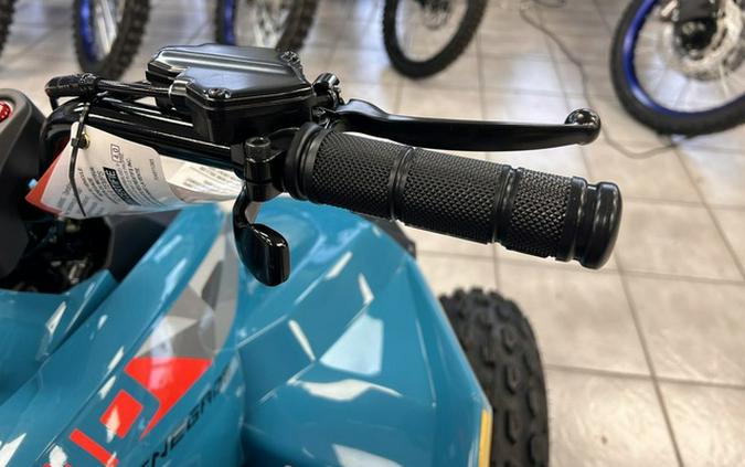 2026 Can-Am Renegade 110 EFI