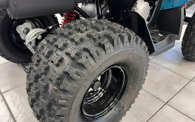 2026 Can-Am Renegade 110 EFI