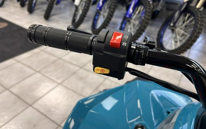 2026 Can-Am Renegade 110 EFI