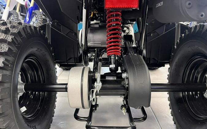 2026 Can-Am Renegade 110 EFI