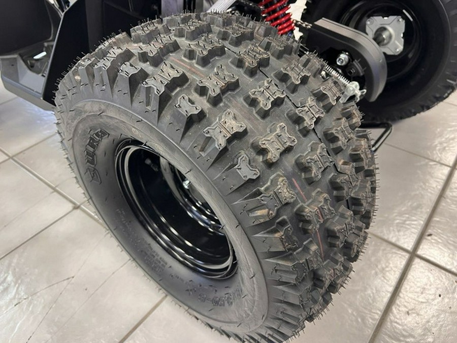 2026 Can-Am Renegade 110 EFI