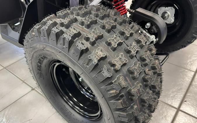 2026 Can-Am Renegade 110 EFI