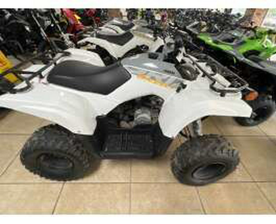 2024 Yamaha Grizzly 90