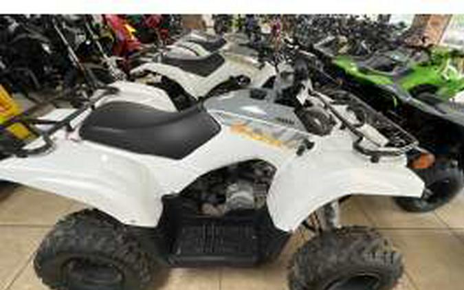 2024 Yamaha Grizzly 90