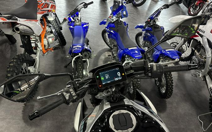 2025 Kawasaki Z900 ABS