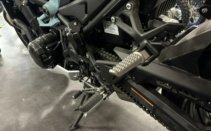 2025 Kawasaki Z900 ABS