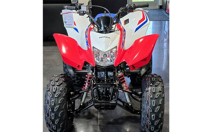 2026 Honda TRX250X