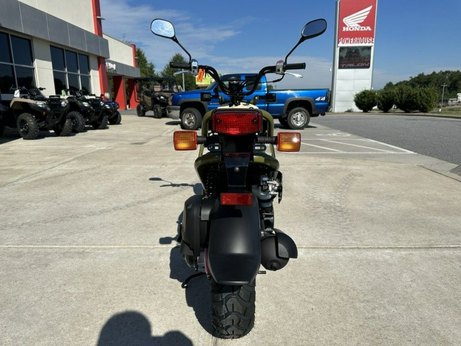 2024 Honda Ruckus