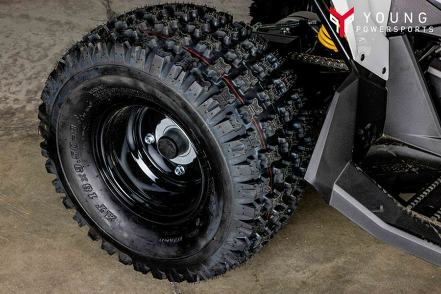 2026 Can-Am RENEGADE 110 EFI