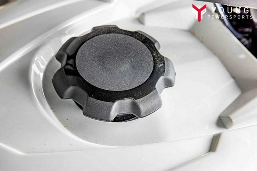 2026 Can-Am RENEGADE 110 EFI