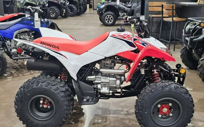 2024 Honda TRX 250X