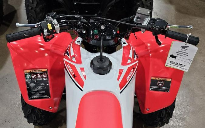 2024 Honda TRX 250X