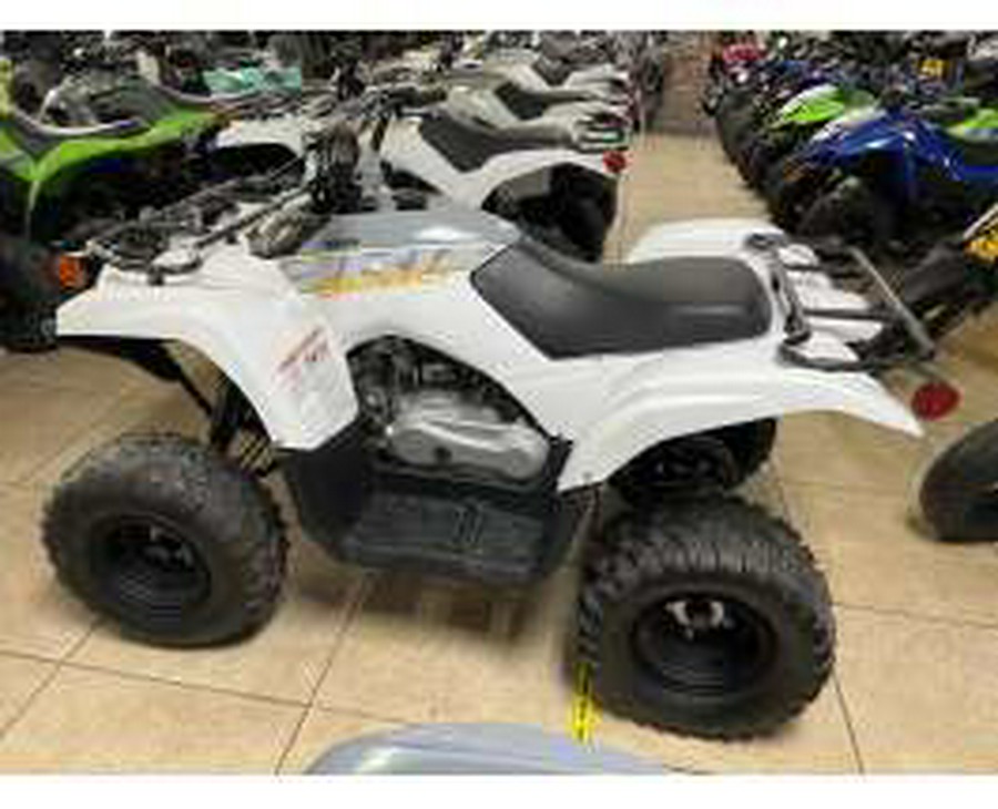 2024 Yamaha Grizzly 90