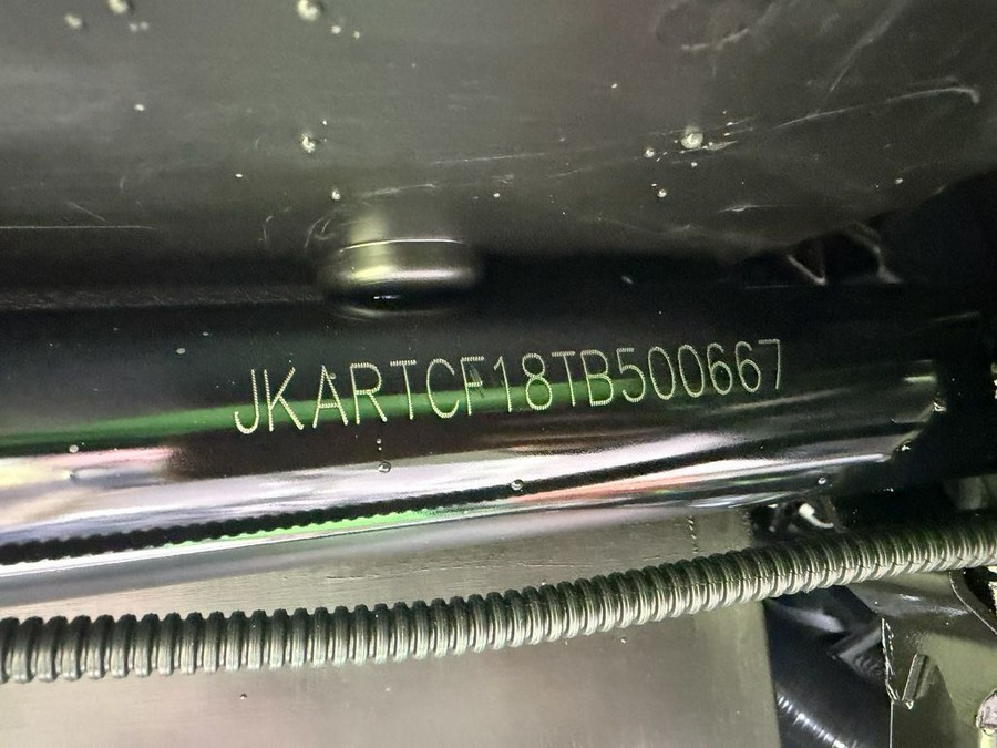 2026 Kawasaki Teryx®4 H2 Deluxe eS