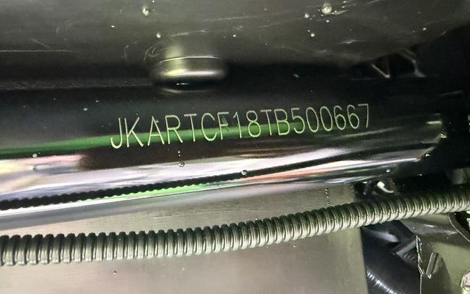 2026 Kawasaki Teryx®4 H2 Deluxe eS