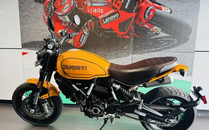 2022 Ducati Scrambler 1100 Tribute PRO Giallo Ocra