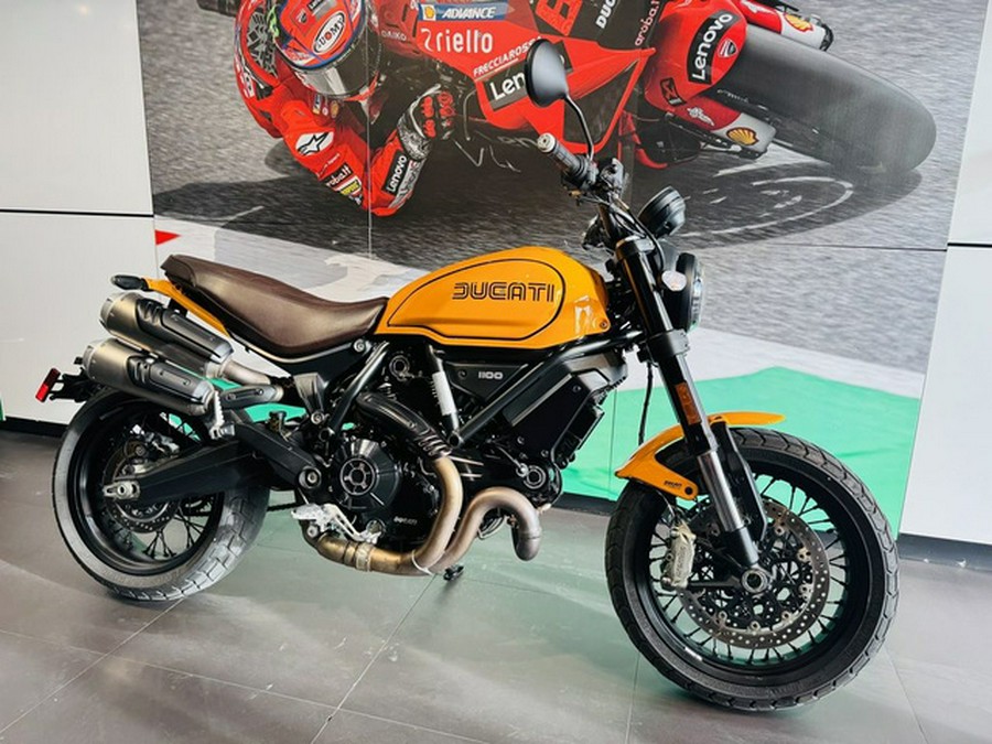 2022 Ducati Scrambler 1100 Tribute PRO Giallo Ocra