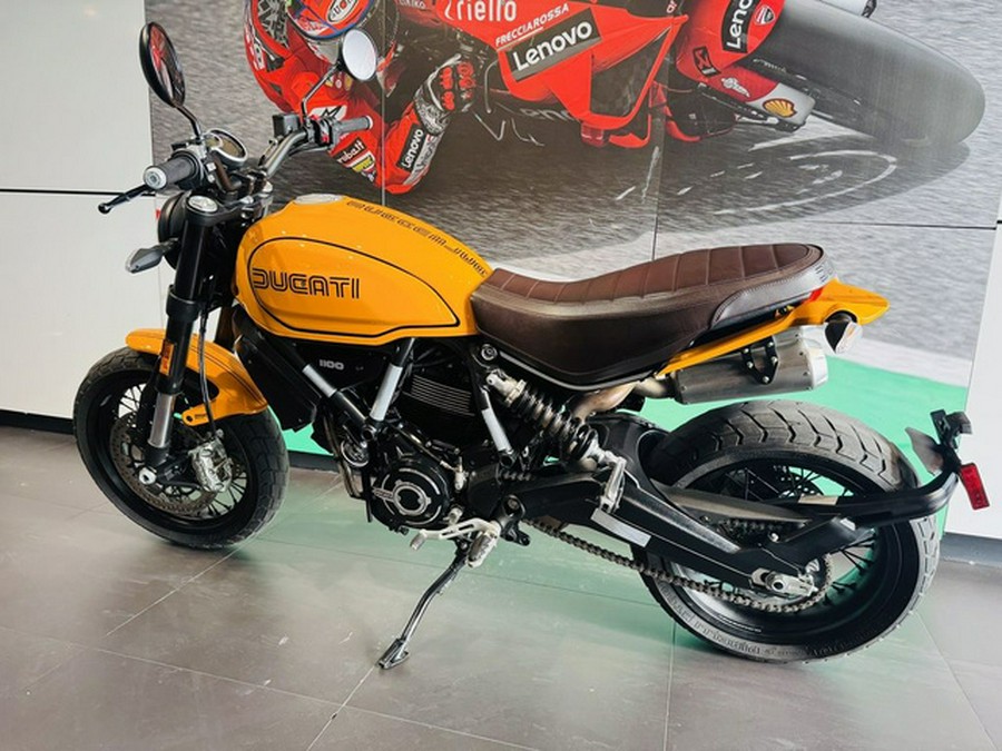 2022 Ducati Scrambler 1100 Tribute PRO Giallo Ocra