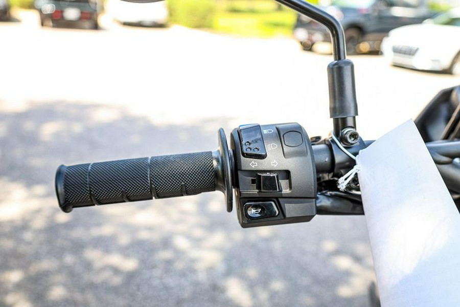 New 2025 KAWASAKI KLX230SM