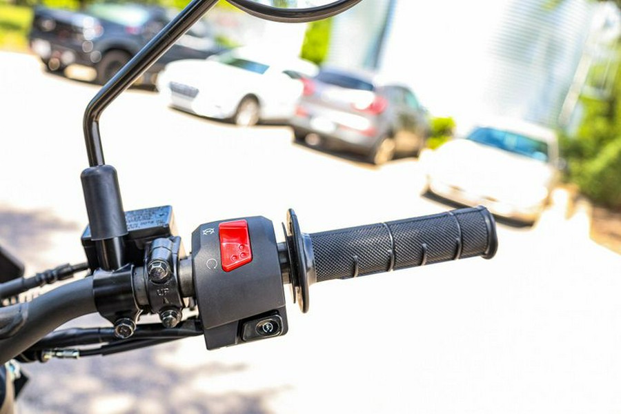 New 2025 KAWASAKI KLX230SM