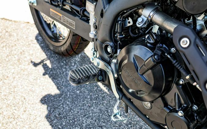 2025 KAWASAKI KLX230SM