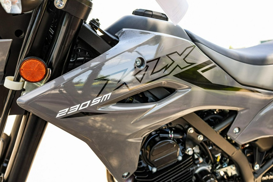 2025 KAWASAKI KLX230SM