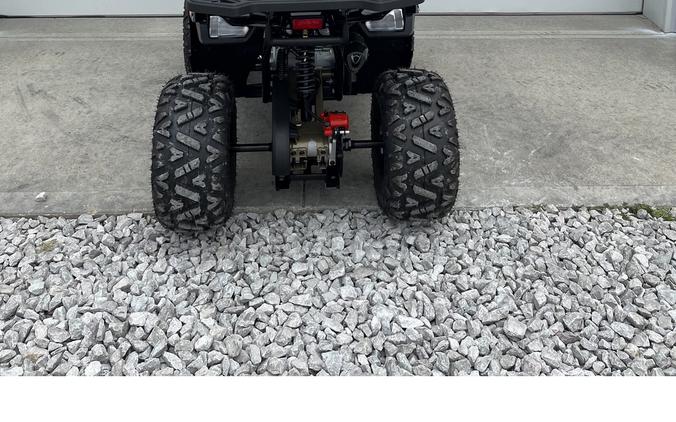 2026 Mudhawk 10FI - Denago Powersports