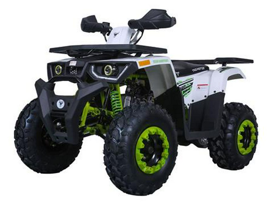 2022 Tao Motor Raptor 200