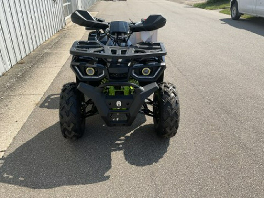 2022 Tao Motor Raptor 200