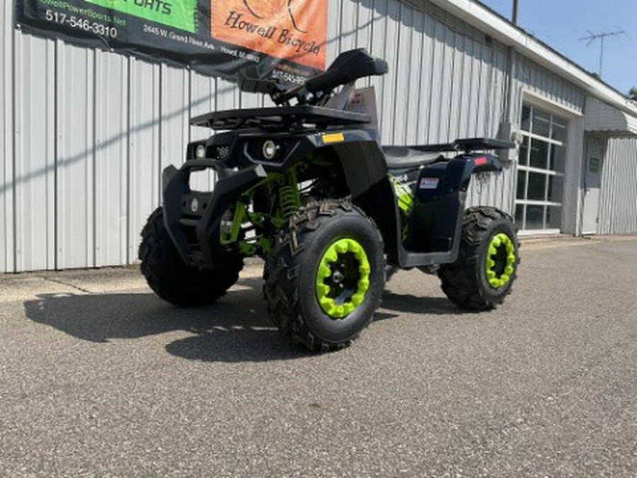 2022 Tao Motor Raptor 200