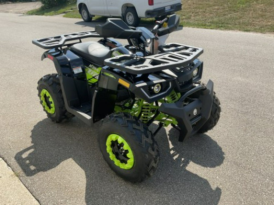 2022 Tao Motor Raptor 200