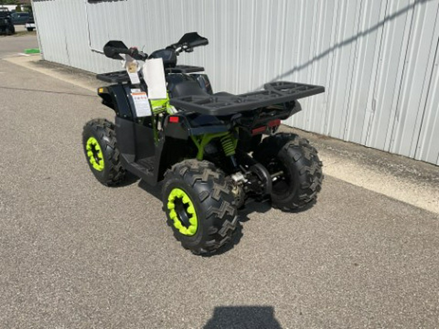 2022 Tao Motor Raptor 200