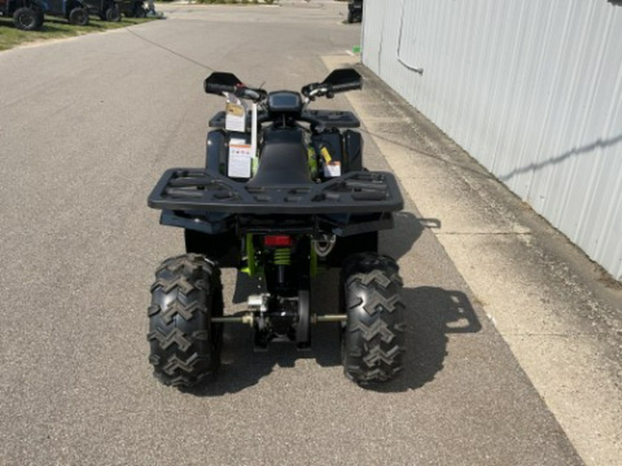 2022 Tao Motor Raptor 200