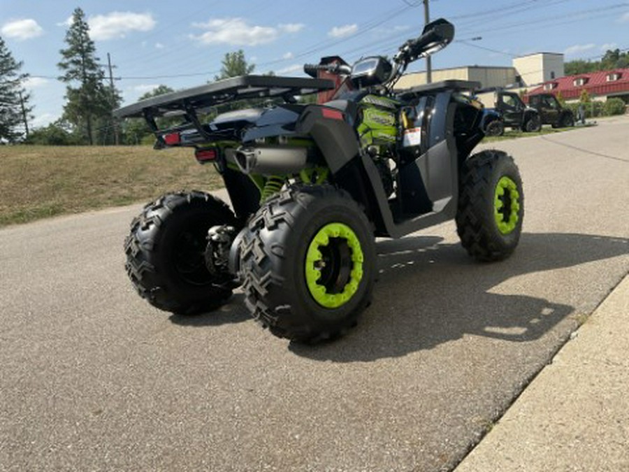 2022 Tao Motor Raptor 200