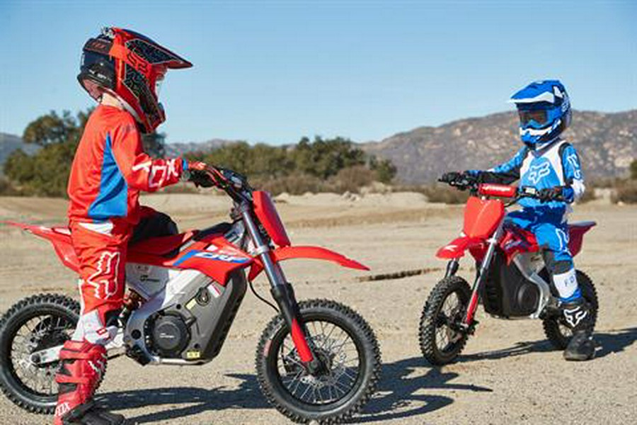 2021 Greenger Powersports CRF-E2