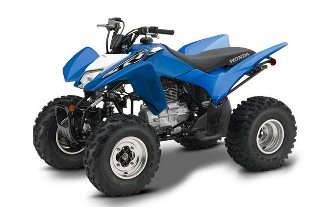 2019 Honda® TRX250X