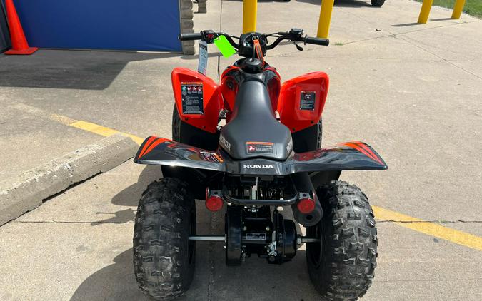 2024 Honda TRX90X