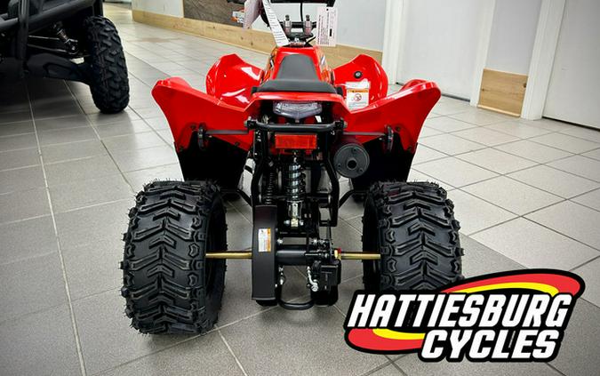 2025 Kayo Fox / Storm 70