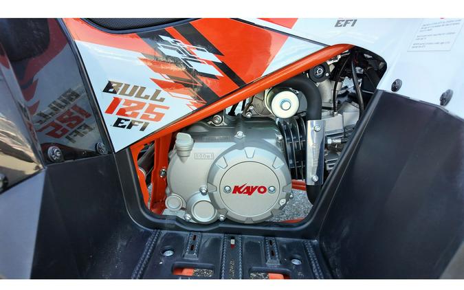 2026 Kayo BULL 125 EFI