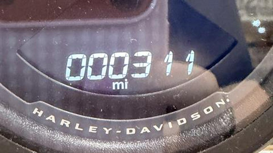 2025 Harley-Davidson Low Rider® ST