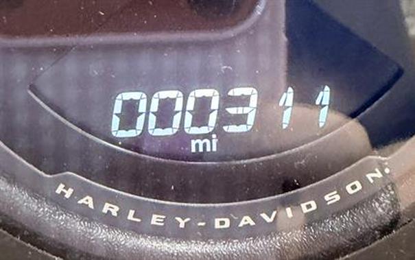 2025 Harley-Davidson Low Rider® ST