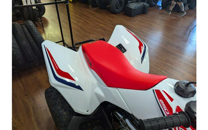 2024 Honda TRX250X