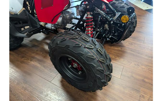 2024 Honda TRX250X