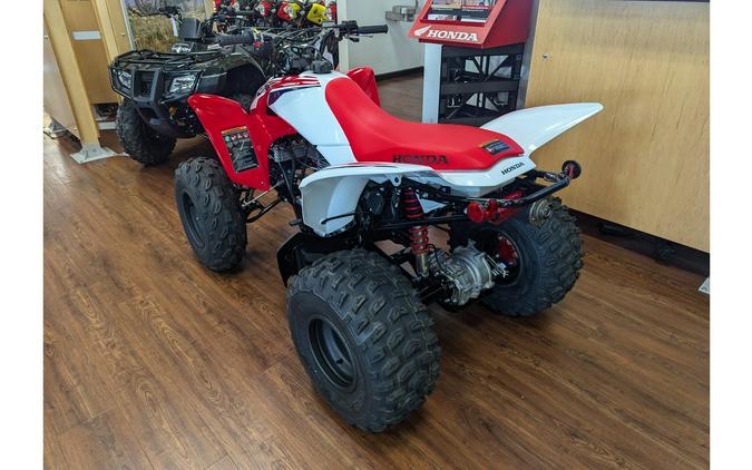 2024 Honda TRX250X